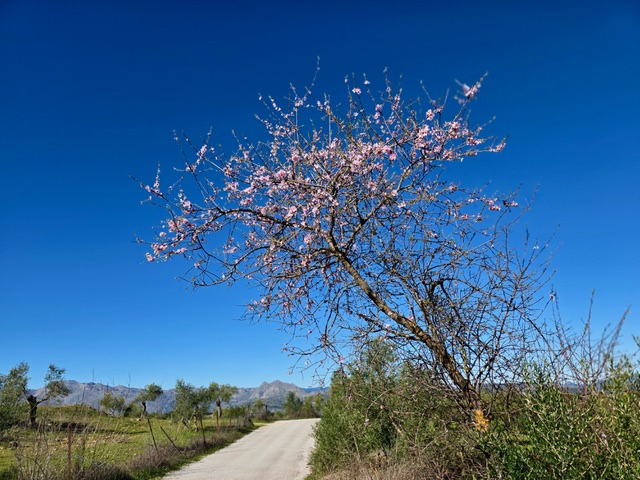Blue sky. Photo © Karethe Linaae